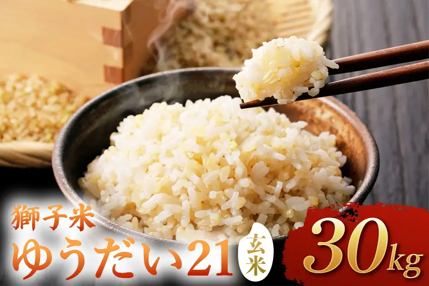 【令和8年産】獅子米　ゆうだい21（玄米）30kg　B02-100