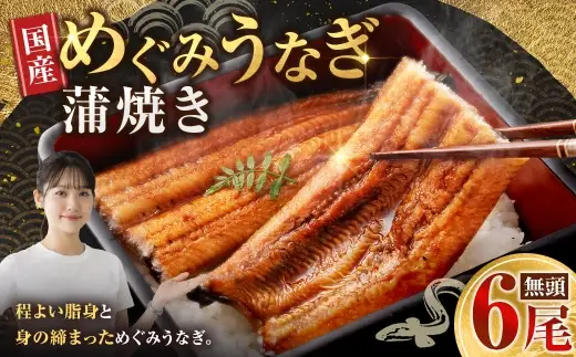【7月13日までの入金確認で土用の丑の日までにお届け】めぐみうなぎ 蒲焼き 6尾 セット うなぎ 鰻 ウナギ 魚類 うな重 うな丼 晩ごはん 惣菜 おかず 贅沢 冷凍 国産 大阪府産 養殖 無投薬