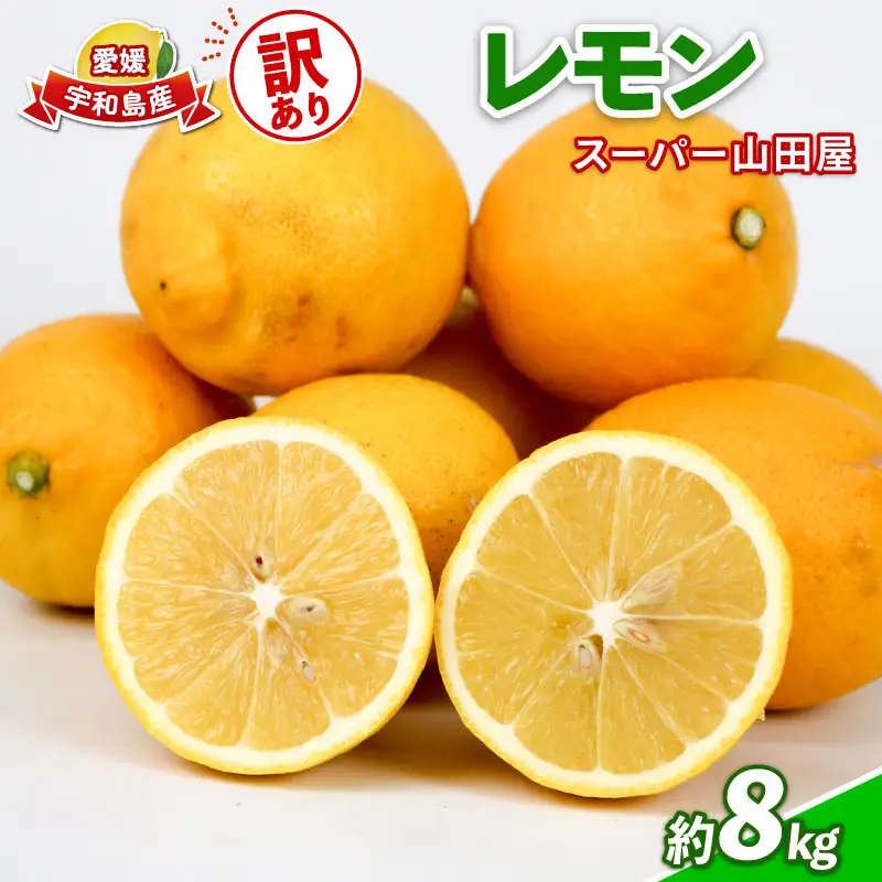 訳あり レモン 約 8kg スーパー山田屋 わけあり れもん 檸檬 レモン果汁 酸味 爽やか 果実 サワー ジュース チューハイ remon 果物 くだもの ビタミン フルーツ 柑橘 産地直送 数量限定 国産 愛媛 宇和島 B016-198012