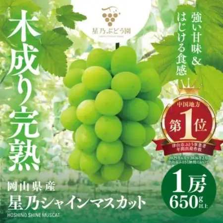 星乃シャインマスカット 650g以上 1房 数量限定 岡山県産【配送不可地域：離島・北海道・沖縄県】【1746014】