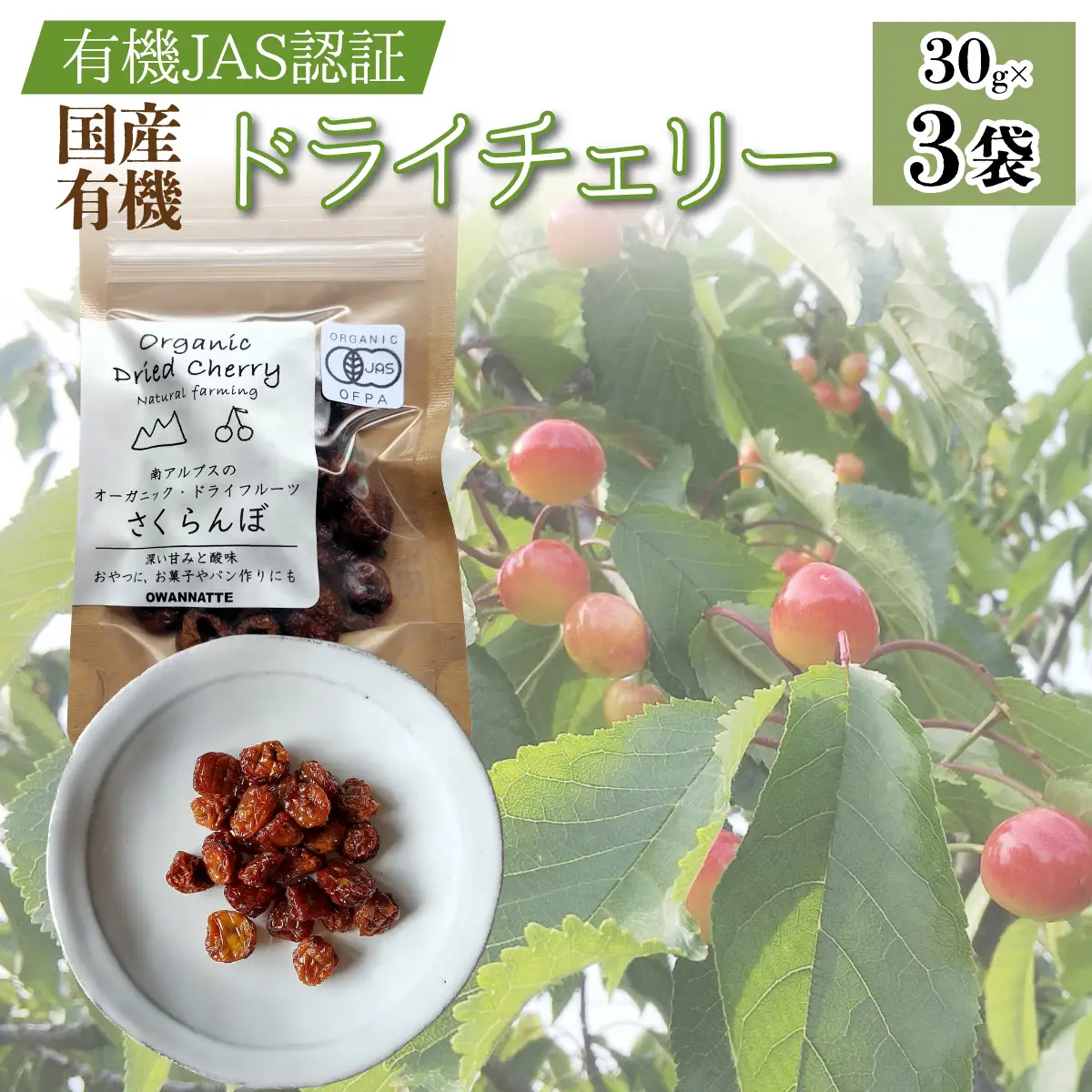 【国産有機】ドライチェリー 30g×3袋 ALPEL011