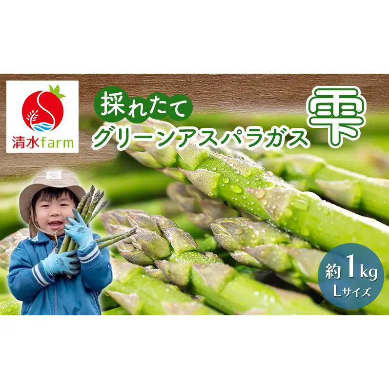 【2027年4月～発送】富良野産 採れたて直送! グリーンアスパラ 「雫」Lサイズ【約1kg】 (清水farm) アスパラ アスパラガス 野菜 新鮮 季節限定 北海道 富良野 ふらの