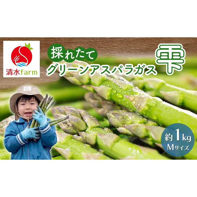 【2027年4月～発送】富良野産 採れたて直送! グリーンアスパラ 「雫」Mサイズ【約1kg】 (清水farm) アスパラ アスパラガス 野菜 新鮮 季節限定 北海道 富良野 ふらの