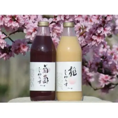果汁100%桃と葡萄ジュース　1L×2種(計2本)【1744683】