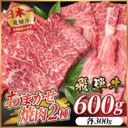 飛騨牛　おまかせ焼肉2種セット約600g(各約300g)訳あり　BBQ　上カルビ・ロースなど【配送不可地域：離島】【1738939】