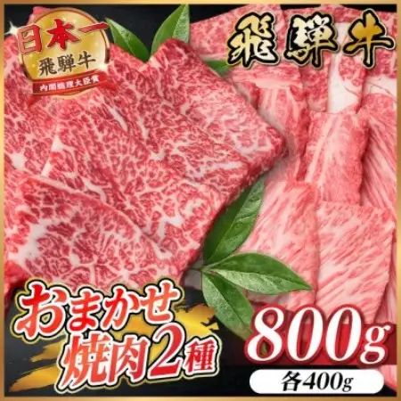 飛騨牛　おまかせ焼肉2種セット約800g(各約400g) 訳あり　BBQ　上カルビ・ロースなど【配送不可地域：離島】【1738976】