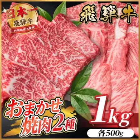 飛騨牛　おまかせ焼肉2種セット約1kg(各約500g) 訳あり　BBQ　上カルビ・ロースなど【配送不可地域：離島】【1738980】