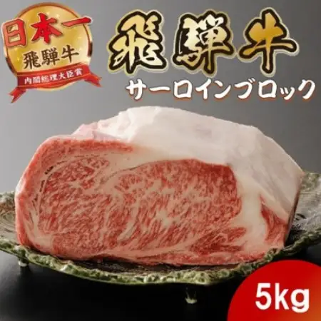 飛騨牛 サーロインブロック5kg (焼肉・ステーキ・すき焼きしゃぶしゃぶ用) 養老ミート【配送不可地域：離島】【1746390】