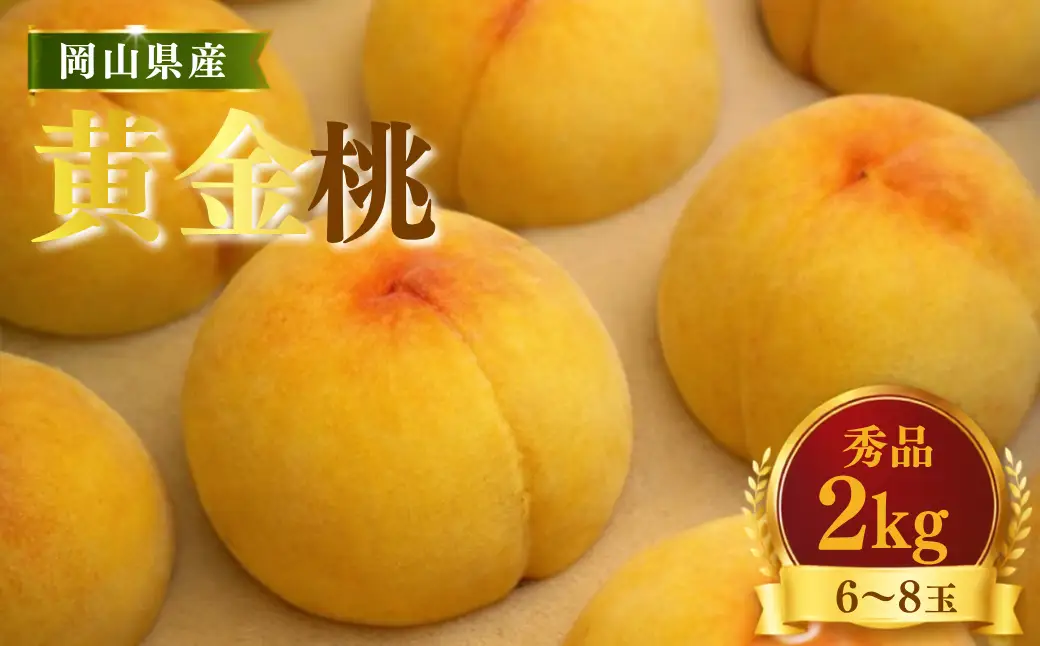 【先行受付】黄桃2kg | 岡山県産 黄金桃 桃 フルーツ 果物 高級フルーツ 岡山 桃 お取り寄せ 産地直送 希少品種 国産フルーツ 黄金桃 人気 数量限定 旬の果物 甘い ジューシー 芳醇 みずみずしい 夏の味覚 先行予約