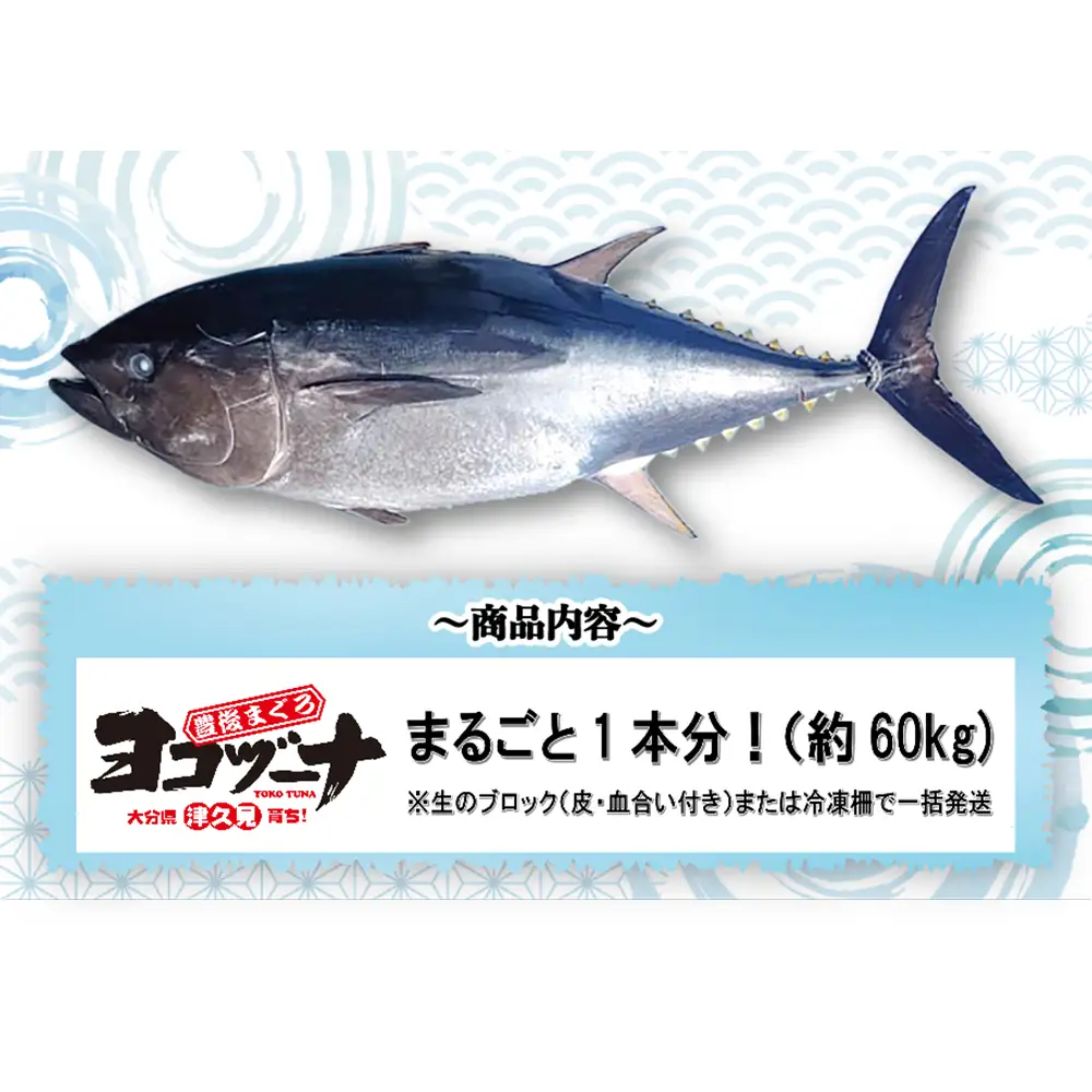 豊後マグロ ヨコヅーナ 1本分セット | マグロ 津久見市