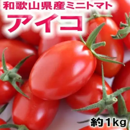 【2027年2月出荷】和歌山県産ミニトマト「アイコトマト」約1kg(M・Lサイズおまかせ)日高町【配送不可地域：離島・北海道・沖縄県】【1747370】