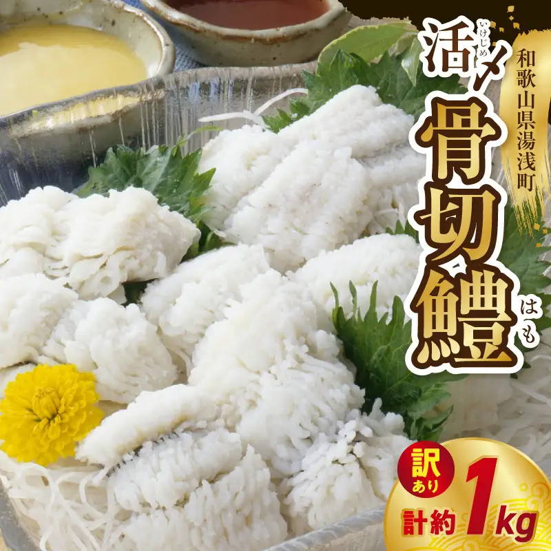 【訳アリ・業務用】活〆 加熱用 国産 骨切鱧 約1kg （200g〜300g程の大きさの鱧を3〜5匹）_SD1009