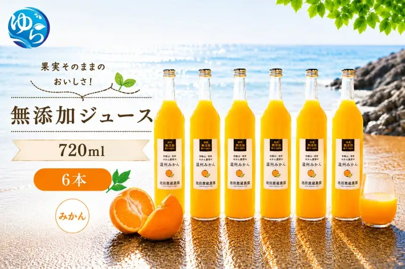 有田 みかん 100% ジュース / 温州みかん 有田みかん ストレート 果汁 無添加 柑橘 和歌山 18000円 720ml ※北海道・沖縄・離島への配送不可 //drink 【ikd100-mik720-6】