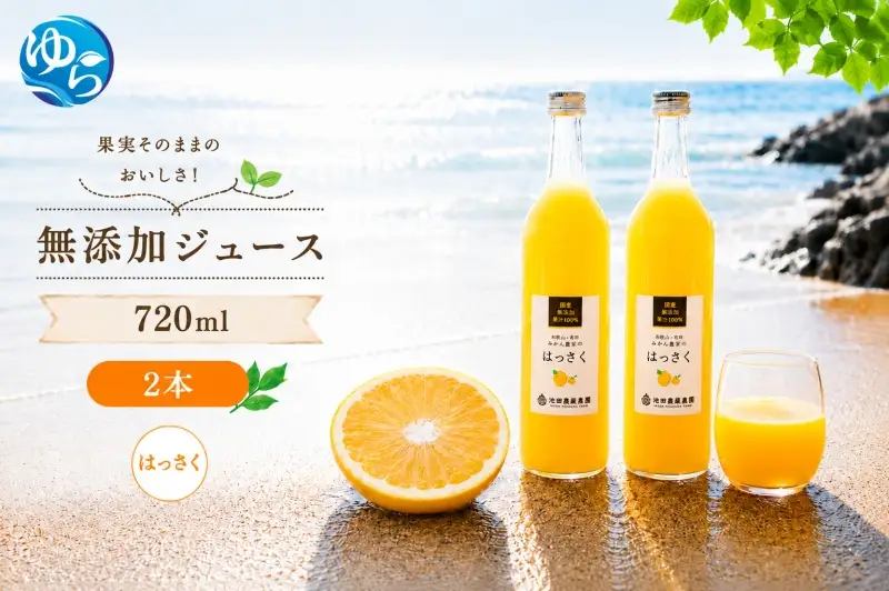 はっさく 100% ジュース / 八朔 ストレート 果汁 無添加 柑橘 和歌山 7000円 720ml ※北海道・沖縄・離島への配送不可 //drink 【ikd100-has720-2A】