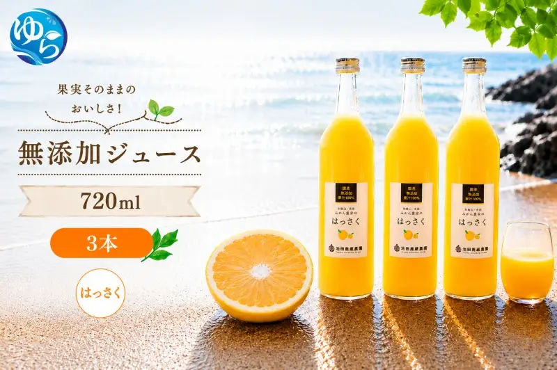 はっさく 100% ジュース / 八朔 ストレート 果汁 無添加 柑橘 和歌山 11000円 720ml ※北海道・沖縄・離島への配送不可 //drink 【ikd100-has720-3】