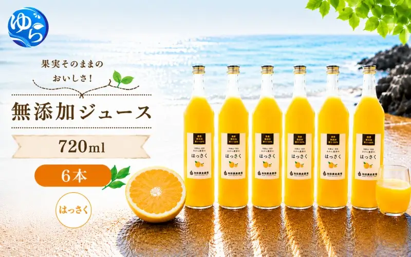 はっさく 100% ジュース / 八朔 ストレート 果汁 無添加 柑橘 和歌山 18000円 720ml ※北海道・沖縄・離島への配送不可 //drink 【ikd100-has720-6】