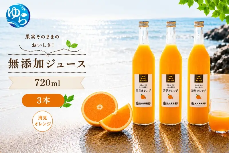 清見 オレンジ 100% ジュース / 清見オレンジ ストレート 果汁 無添加 柑橘 和歌山 12000円 720ml ※北海道・沖縄・離島への配送不可 //drink 【ikd100-kiy720-3】