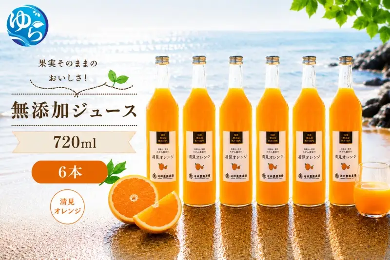 清見 オレンジ 100% ジュース / 清見オレンジ ストレート 果汁 無添加 柑橘 和歌山 18000円 720ml ※北海道・沖縄・離島への配送不可 //drink 【ikd100-kiy720-6】
