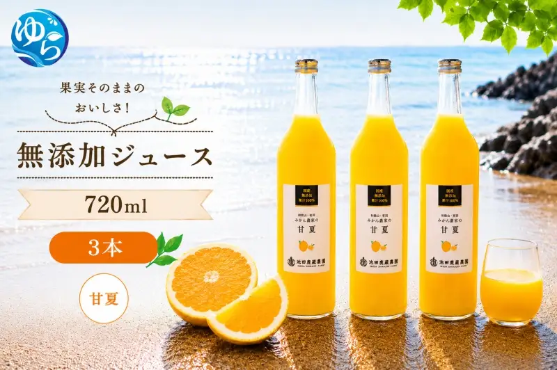 甘夏 100% ジュース / 甘夏 ストレート 果汁 無添加 柑橘 和歌山 11000円 720ml ※北海道・沖縄・離島への配送不可 //drink 【ikd100-ama720-3】