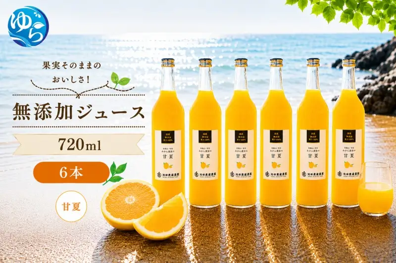 甘夏 100% ジュース / 甘夏 ストレート 果汁 無添加 柑橘 和歌山 18000円 720ml ※北海道・沖縄・離島への配送不可 //drink 【ikd100-ama720-6】
