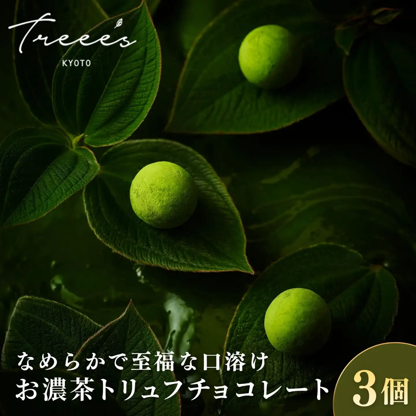 【TREEE’S】お濃茶トリュフチョコレート 3個 ｜京都 スイーツブランド レビュー高評価 人気 抹茶スイーツ