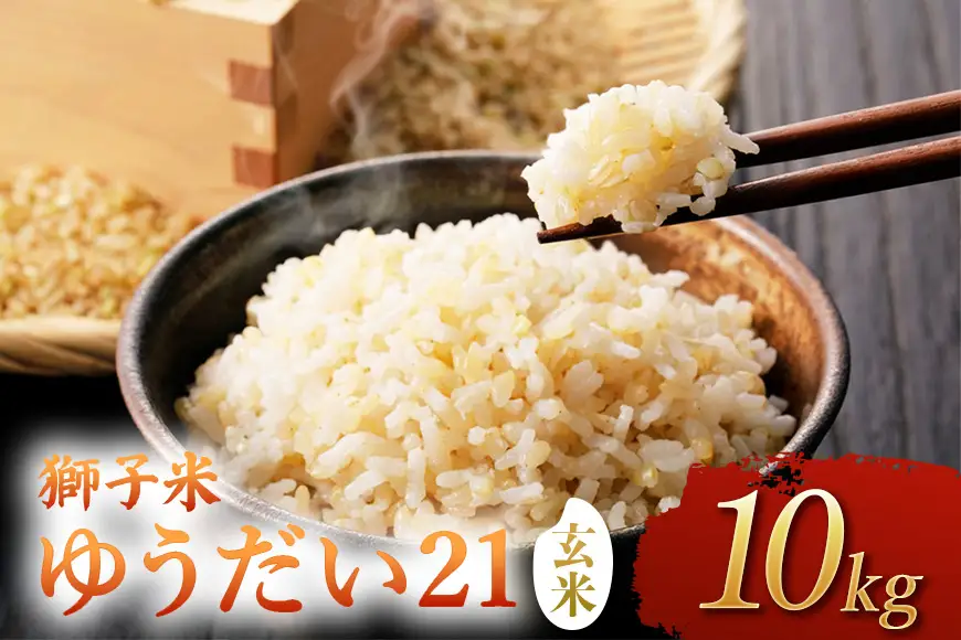 【令和8年産】獅子米　ゆうだい21（玄米）10kg B02-101