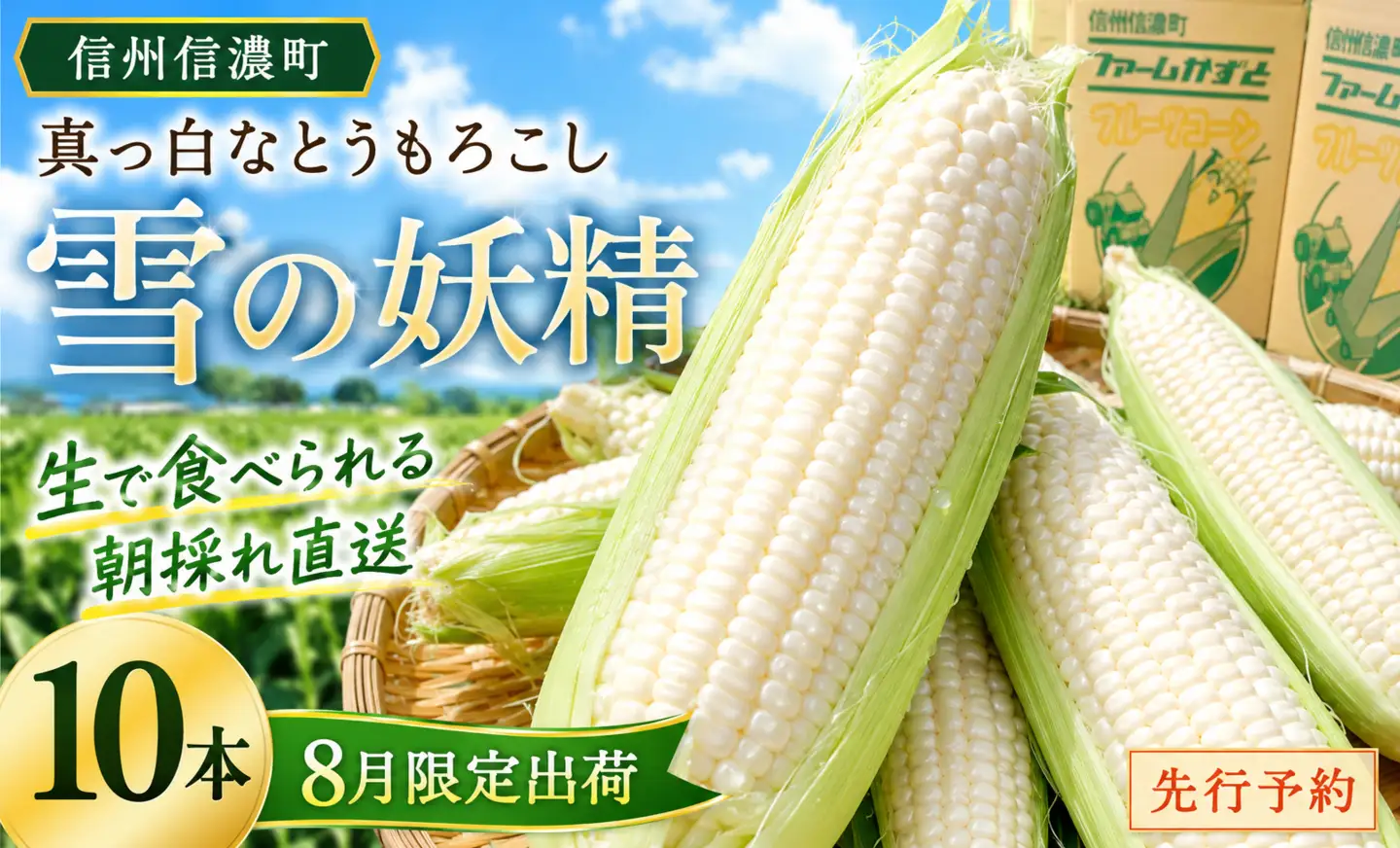 《先行予約》真っ白なとうもろこし｢雪の妖精｣ 生で食べられる ホワイトコーン 朝採れ直送　令和8年8月限定出荷 ファームかずと【長野県信濃町ふるさと納税】
