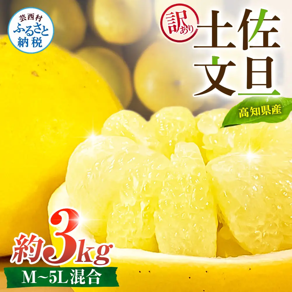 先行予約 訳あり 土佐文旦 家庭用 約3kg 約4～10玉 M～5L混合サイズ 高知県産