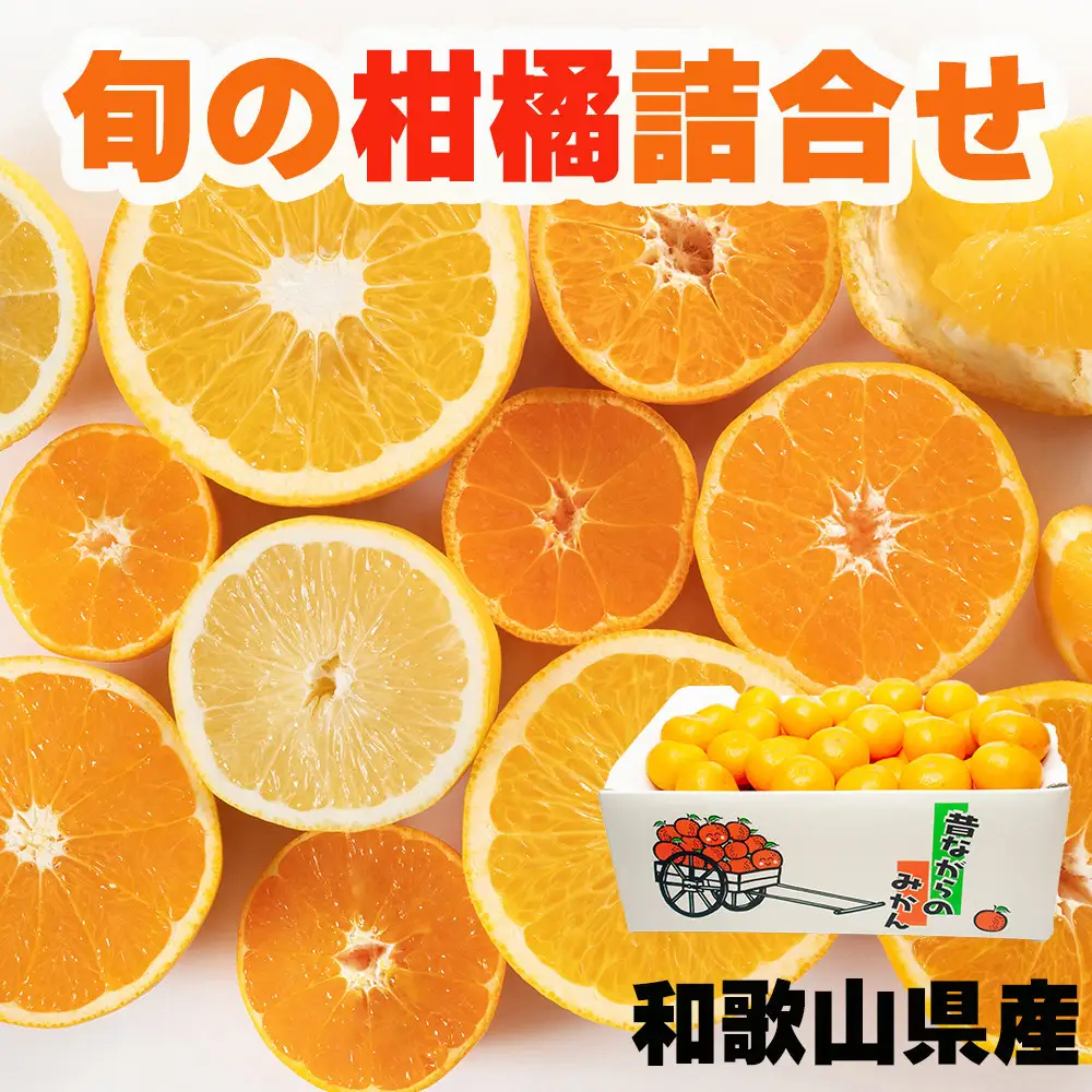 鈴木農園の旬の柑橘詰め合わせ 4.5kg～5kg 箱 2月～4月発送