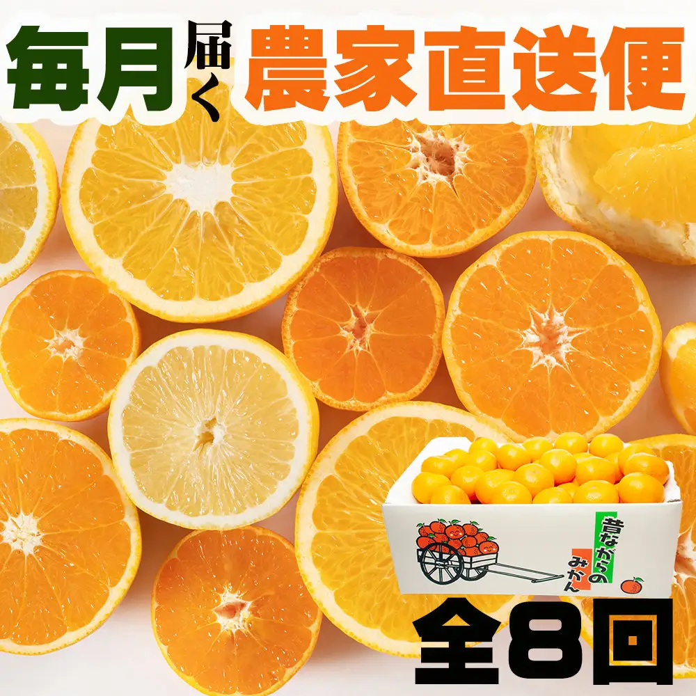 ［定期便 全8回］和歌山県鈴木農園産 旬のフルーツ定期便