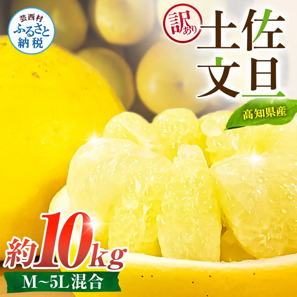先行予約 訳あり 土佐文旦 家庭用 約10kg 約16～30玉 M～5L混合サイズ 高知県産