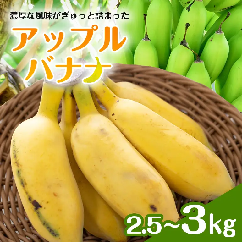 アップルバナナ2.5～3kg 194-6