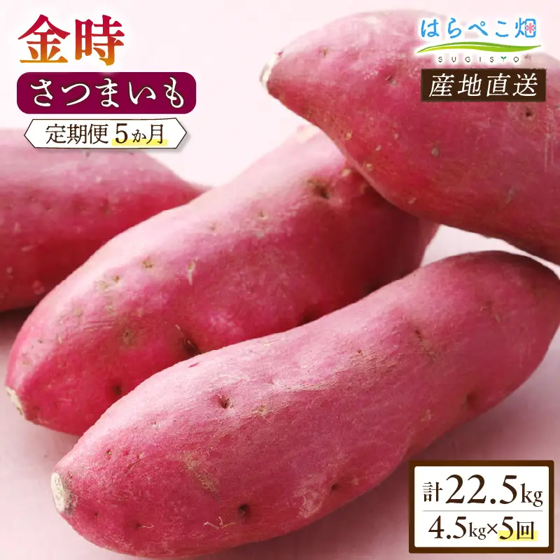 【定期便5ヶ月】さつまいも 金時 4.5kg・H133