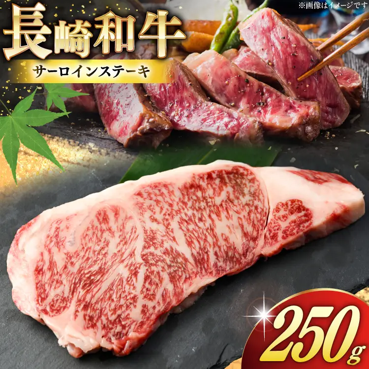 AK023 長崎和牛 サーロイン ステーキ 250g 