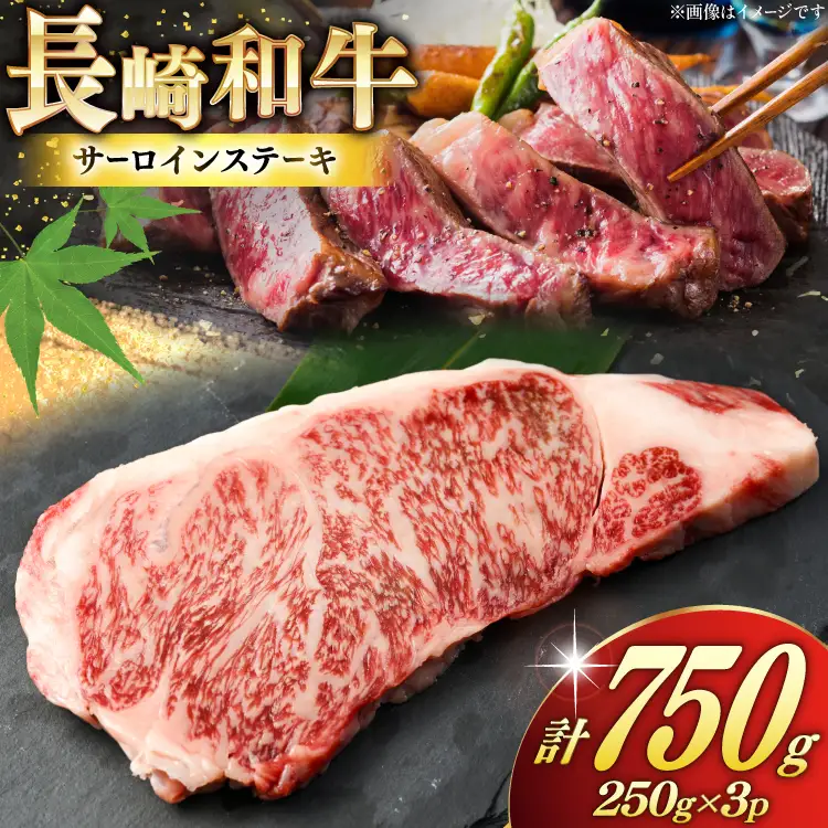 AK025 長崎和牛 サーロイン ステーキ 250g 3パック 計750g 