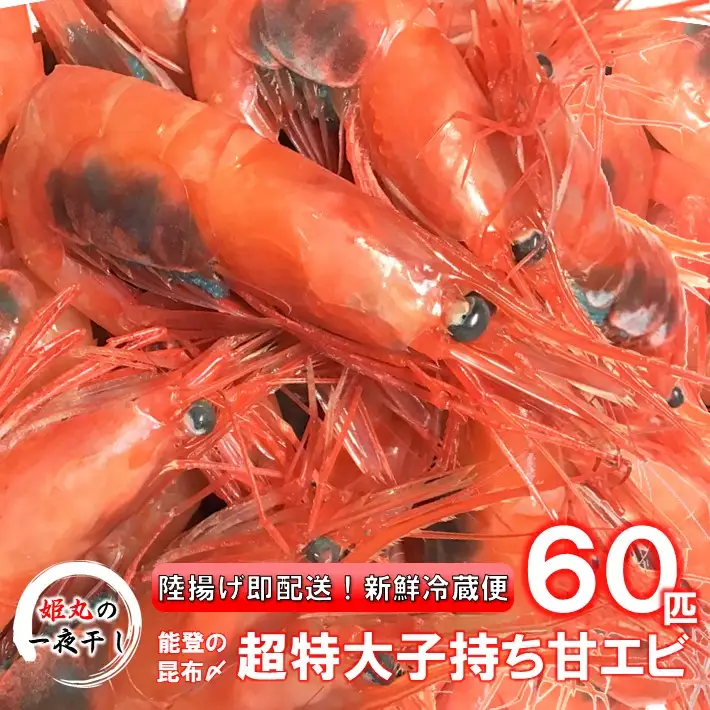【 2026年9月~10月発送 】 子持ち甘エビ60匹丸ごと昆布〆 甘エビ