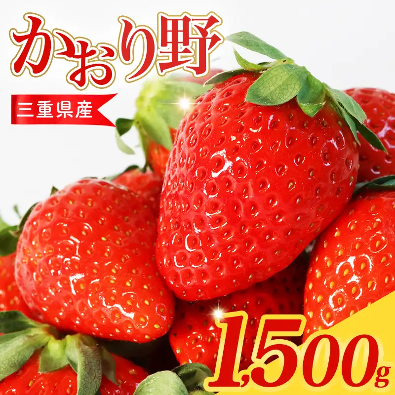 苺 【2027年2月中旬以降発送】 250g×6P 1.5kg 先行予約 かおり野 苺