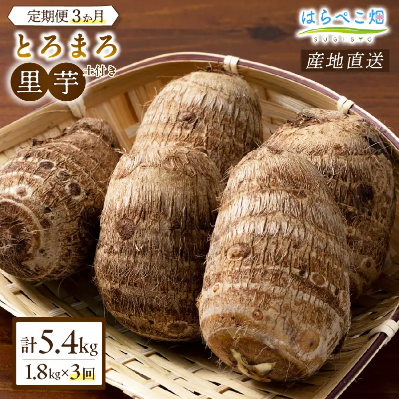【定期便3ヶ月】里芋『とろまろ』土付き 1.8kg・H135-330