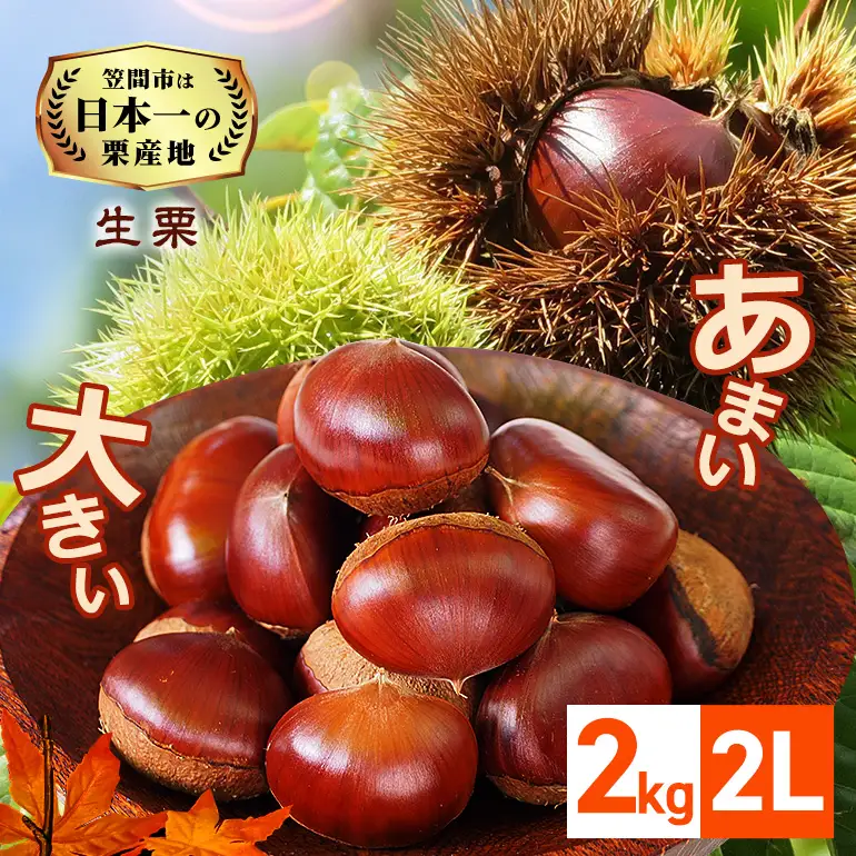 笠間の栗 2kg 2L（1kg×2セット） JV-006