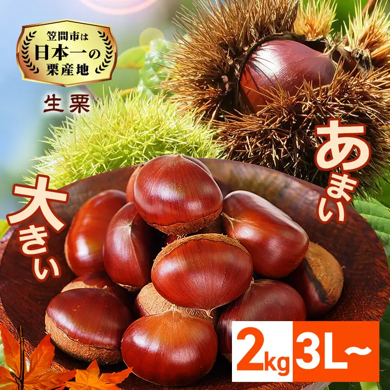 【2026年先行予約】 生栗 2kg 栗 3L 以上 農産物直売所すわ ＜10月以降順次発送予定＞ JV-007