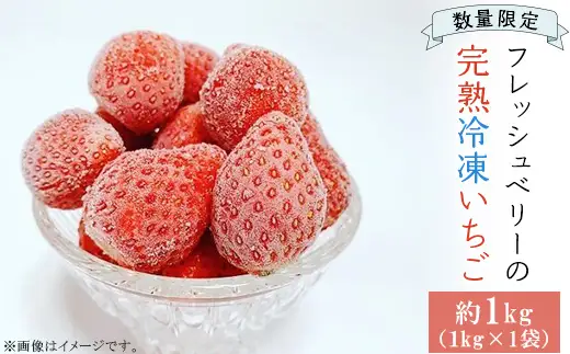 完熟冷凍いちご 約1kg ＜数量限定！！＞ フレッシュベリーの完熟冷凍いちご！大中小サイズ混合約１kg やよいひめ・かおり野・紅ほっぺ・もういっこ ≪イチゴ 苺 ジャム ヨーグルト おやつ≫