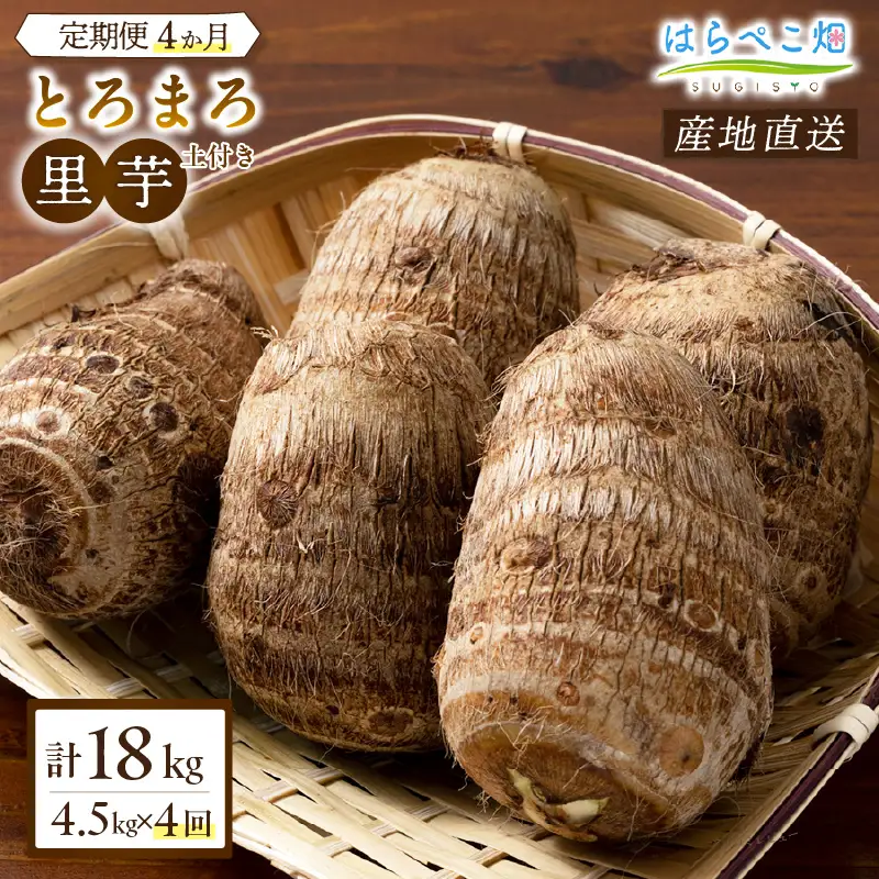 【定期便4ヶ月】里芋『とろまろ』土付き 4.5kg・H140-880
