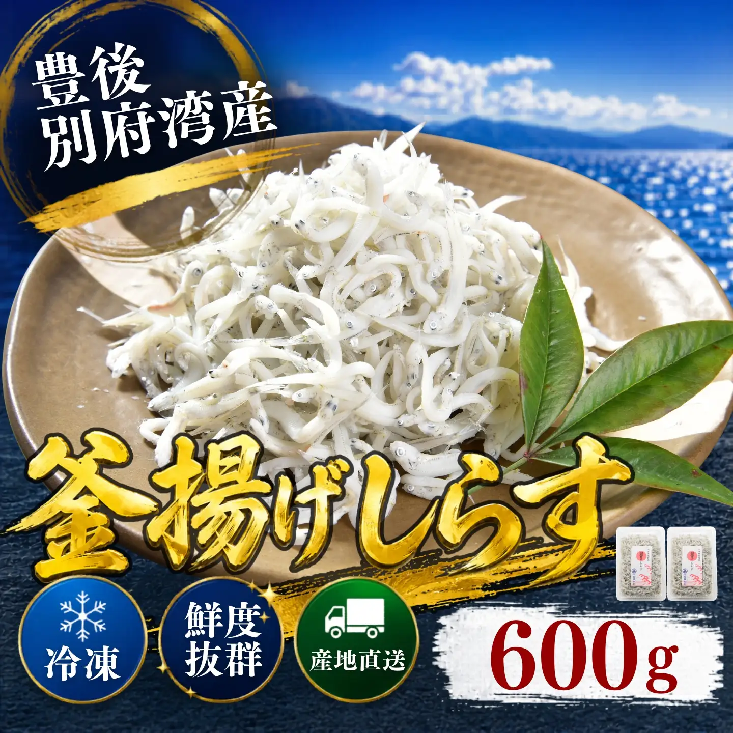 釜揚げ シラス 国産 小分け シラス丼 海鮮丼 冷凍 ／豊後別府湾釜揚げしらす 計 600g（300g×2p） 国産 添加物不使用 ＜108-212＞