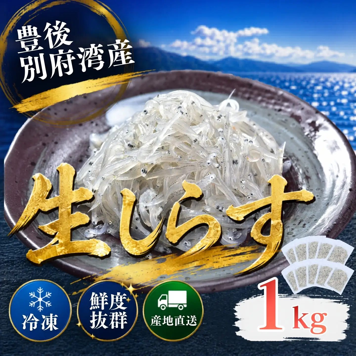 生しらす シラス 1kg 国産 小分け シラス丼 海鮮丼 冷凍 ／豊後別府湾生しらす 計 1kg（100g×10パック） 国産 添加物不使用＜108-222＞