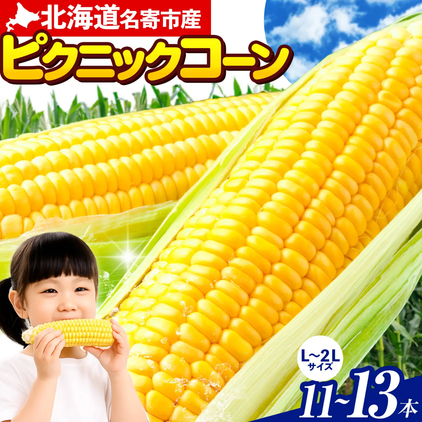 極甘 ピクニックコーン とうもろこし 11～13本 北海道 名寄