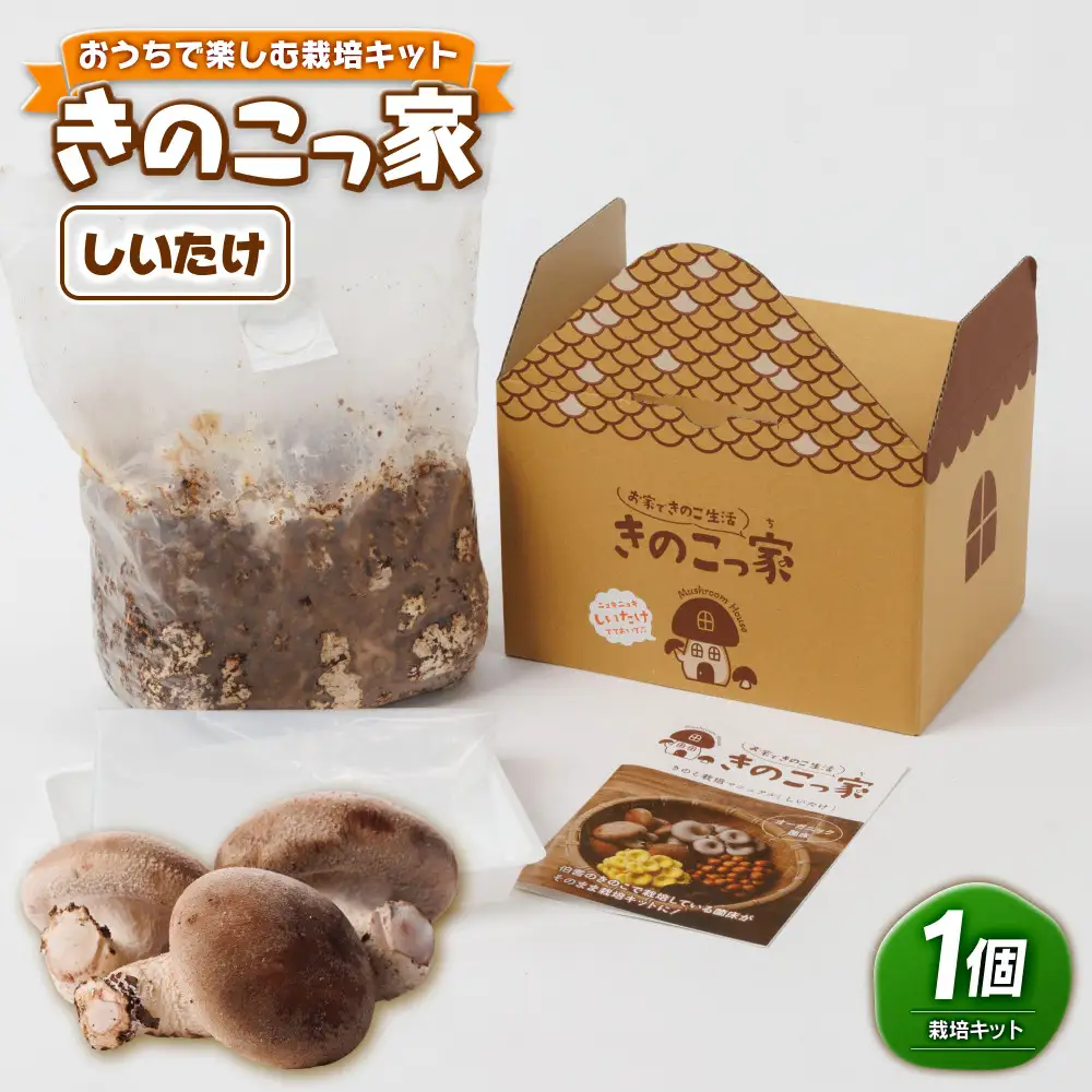 おうちで楽しむ栽培キット「きのこっ家」　しいたけ 【鳥取県 境港市】