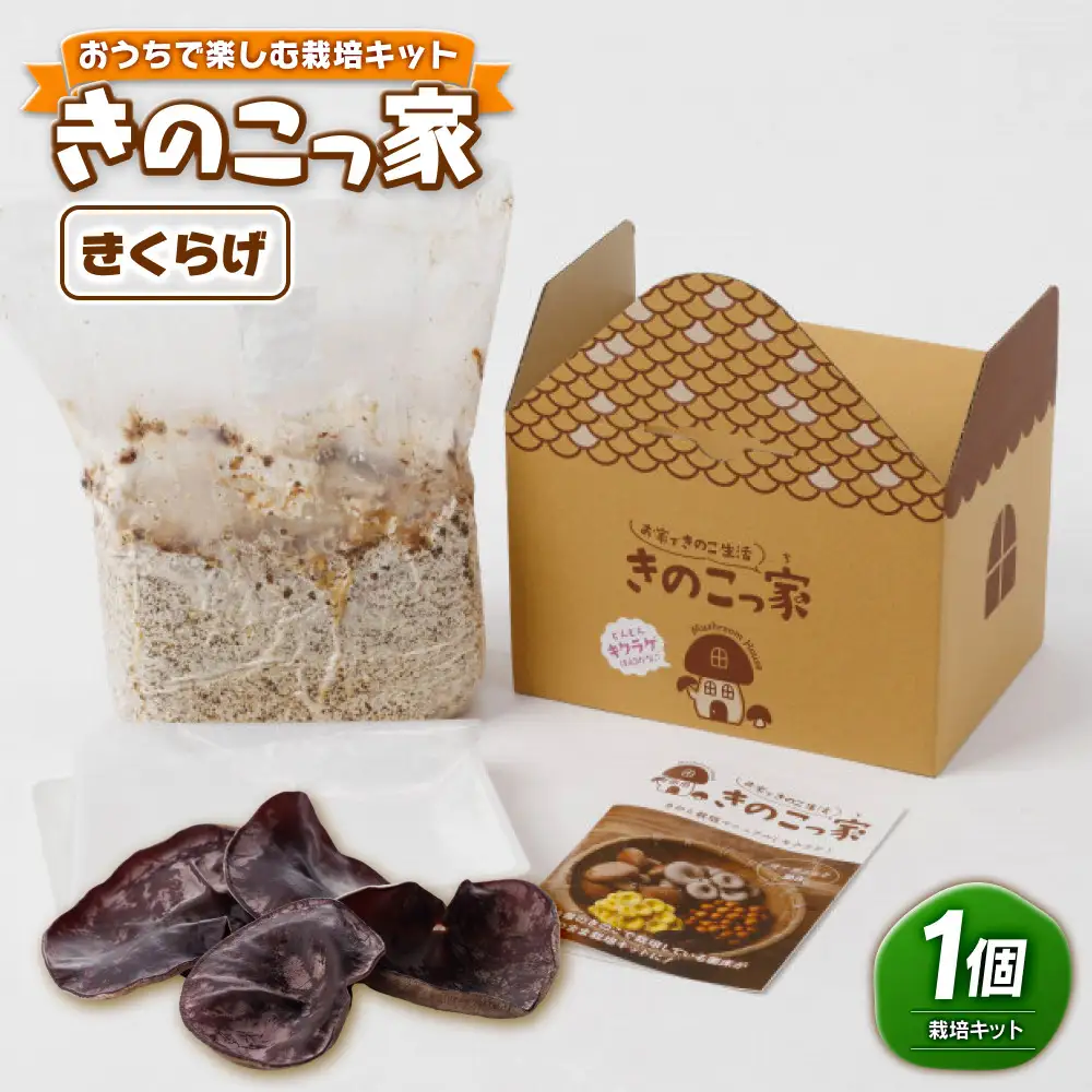 おうちで楽しむ栽培キット「きのこっ家」　きくらげ　 【鳥取県 境港市】
