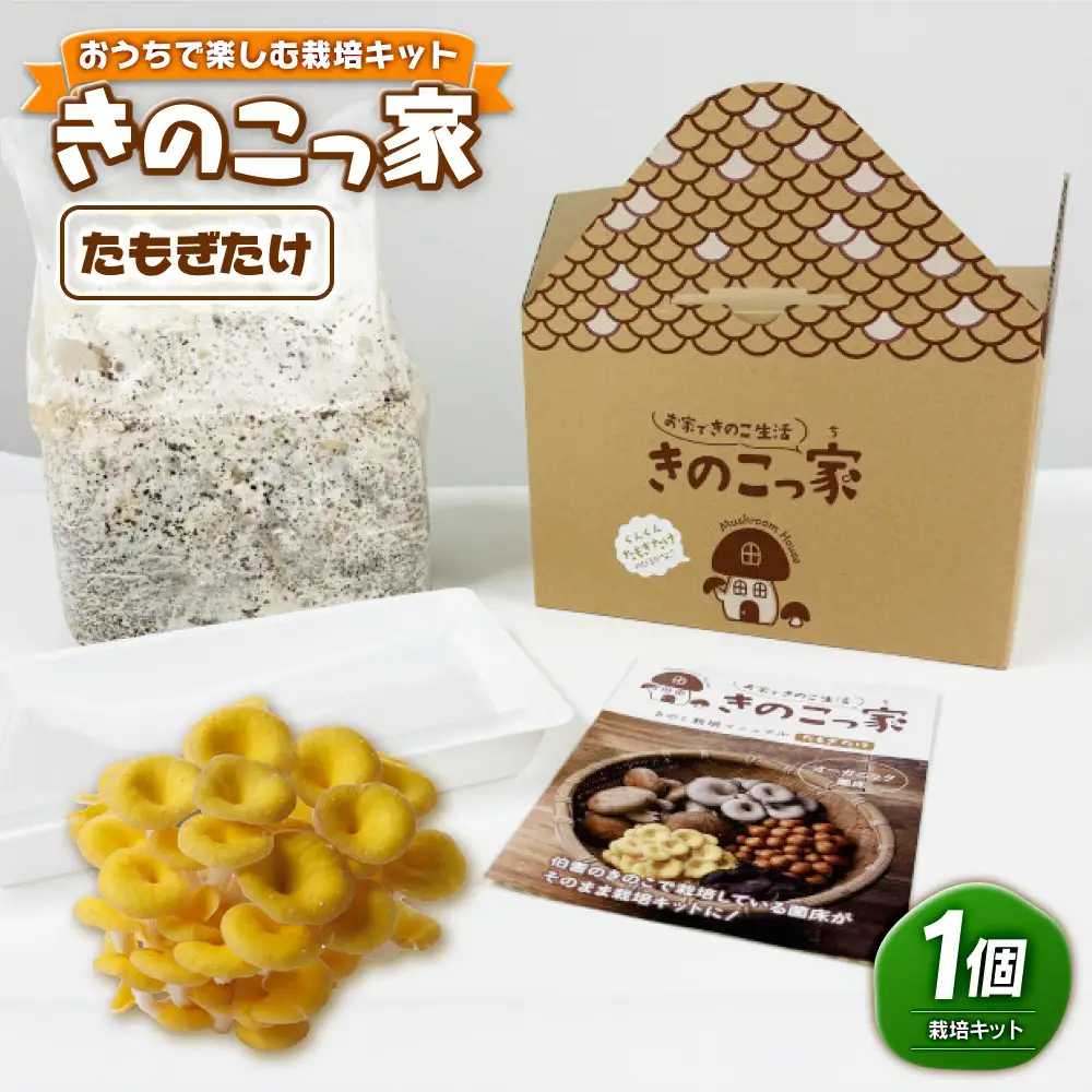 おうちで楽しむ栽培キット「きのこっ家」　たもぎたけ　 【鳥取県 境港市】