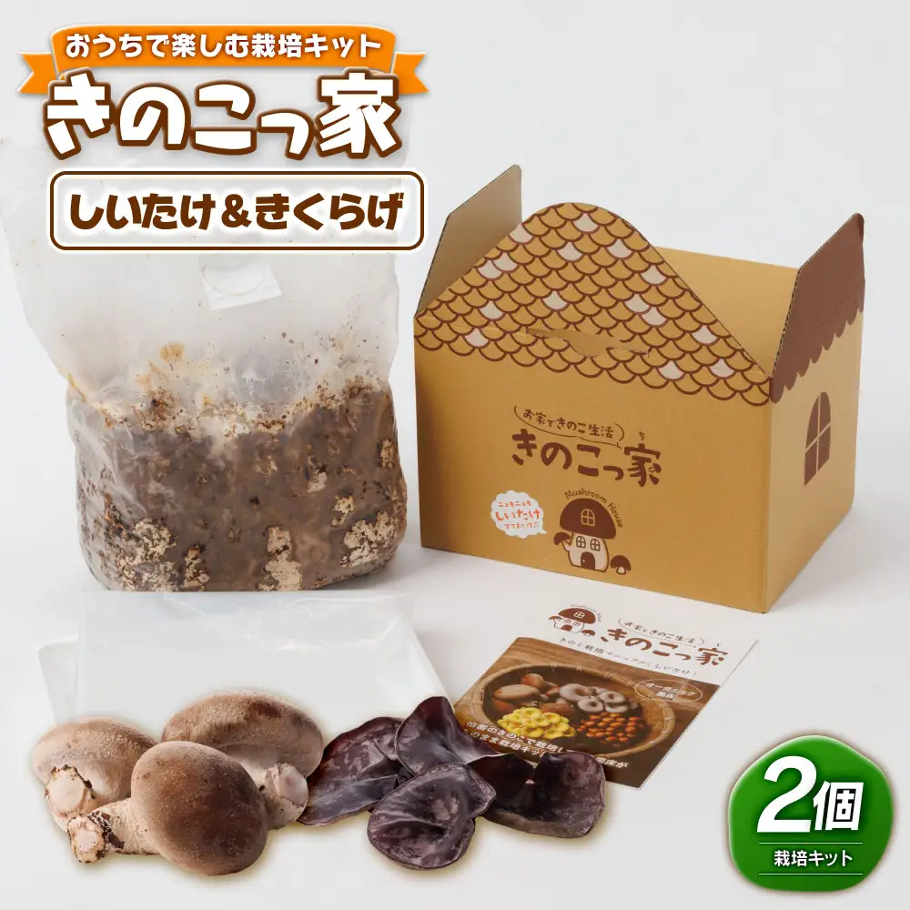おうちで楽しむ栽培キット「きのこっ家」2種セット　しいたけ×きくらげ　 【鳥取県 境港市】