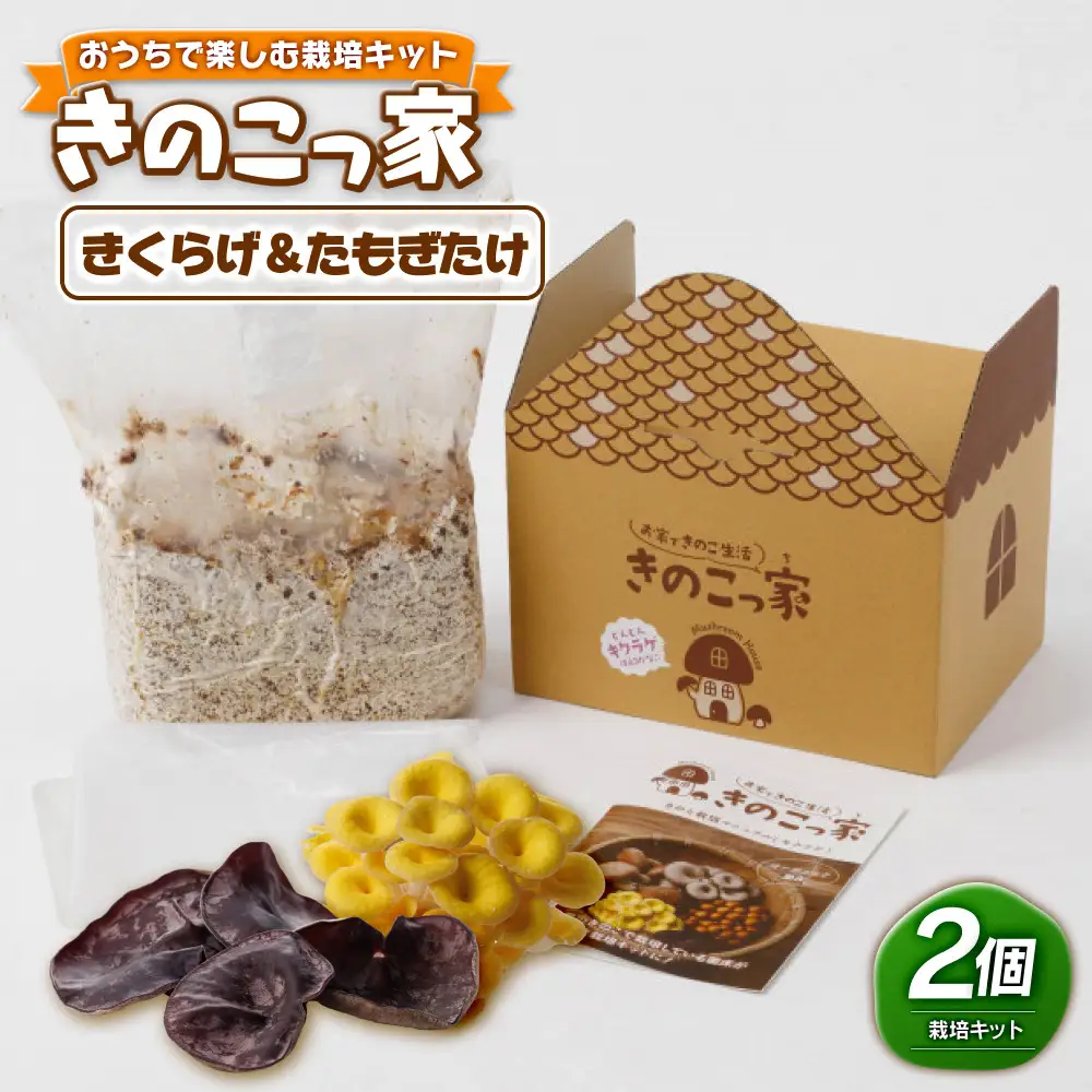 おうちで楽しむ栽培キット「きのこっ家」2種セット　きくらげ×たもぎたけ　 【鳥取県 境港市】